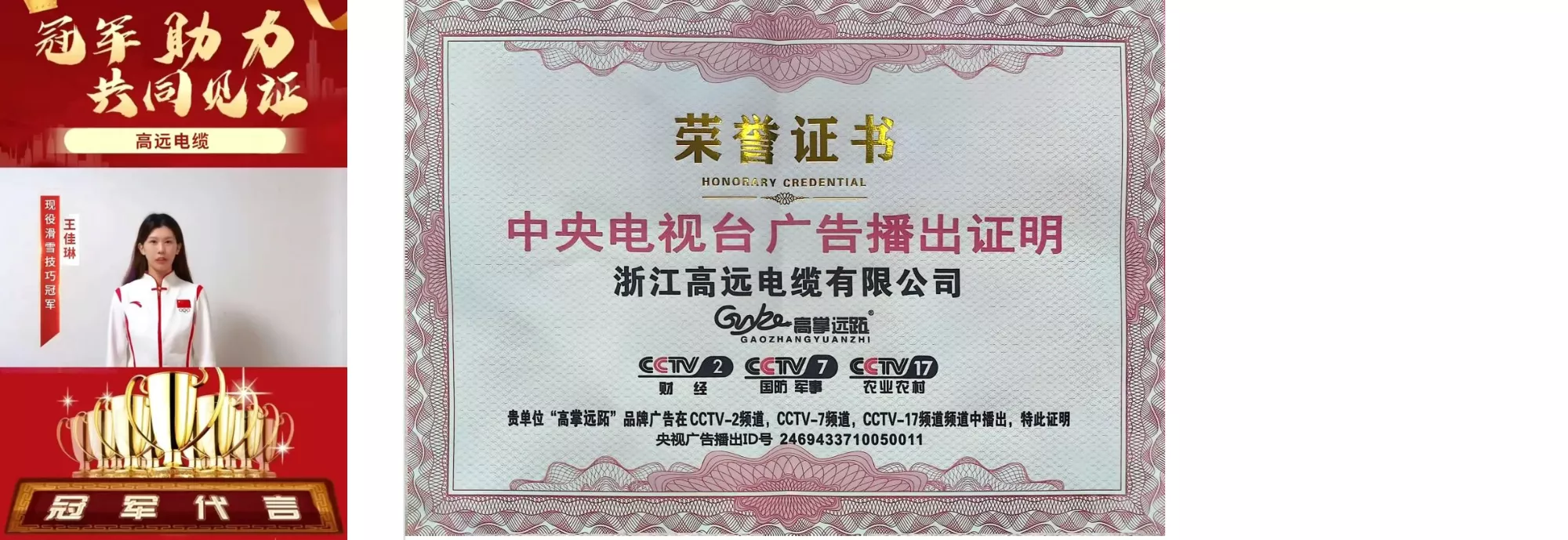 央视广告播出证明